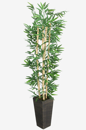 Yapay Çiçek Deposu - Yapay Bambu Ağacı 155 cm 4 Gövdeli Yeşil (Ahşap Siyah Gold-Saksı)