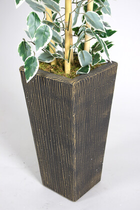 Yapay Benjamin Ağacı 155 cm 4lü Bambu Gövdeli Yeşil-Beyaz (Ahşap Siyah Gold-Saksı) - Thumbnail