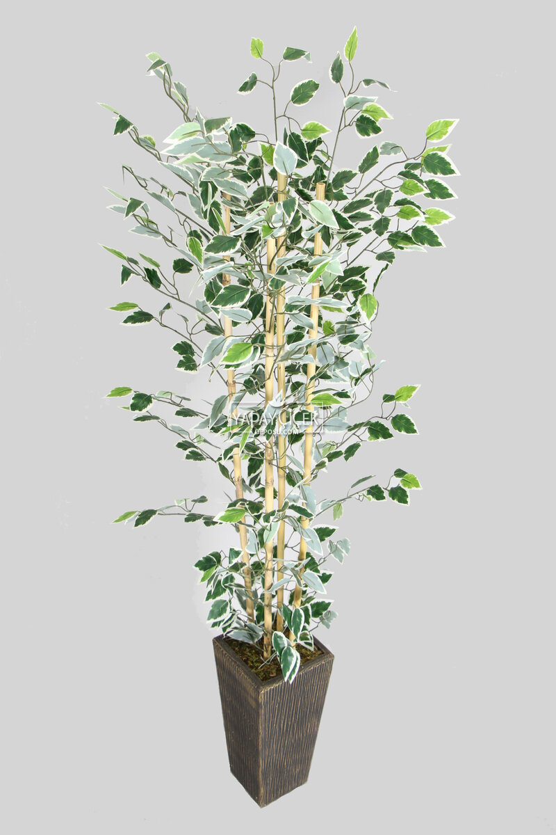 Yapay Benjamin Ağacı 155 Cm 4lü Bambu Gövdeli Yeşil-beyaz (ahşap Siyah Gold-saksı)