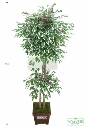 Yapay Çiçek Deposu - Yapay Benjamin Ağacı Yeşil-Beyaz 180 cm
