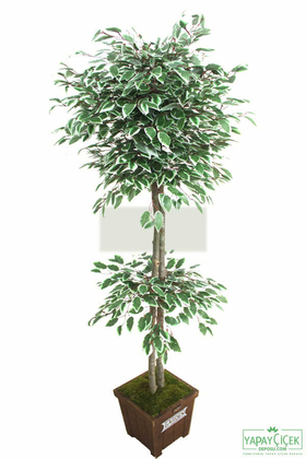 Yapay Benjamin Ağacı Yeşil-Beyaz 180 cm - Thumbnail
