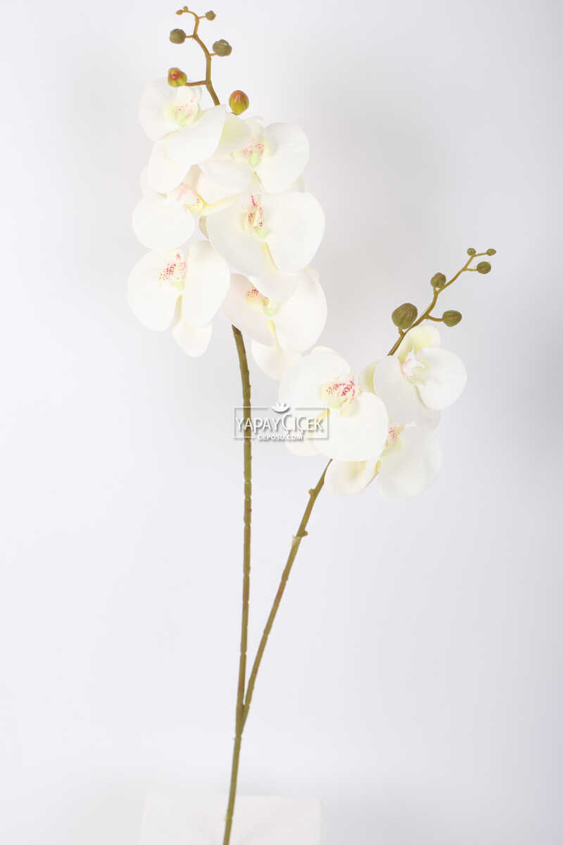 Yapay 3D 2li Islak Orkide Çiçeği 90 cm Beyaz