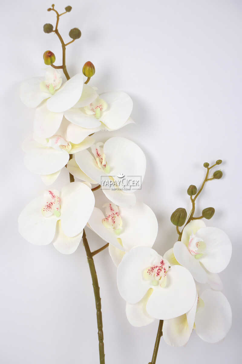 Yapay 3D 2li Islak Orkide Çiçeği 90 cm Beyaz
