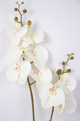 Yapay 3D 2li Islak Orkide Çiçeği 90 cm Beyaz - Thumbnail