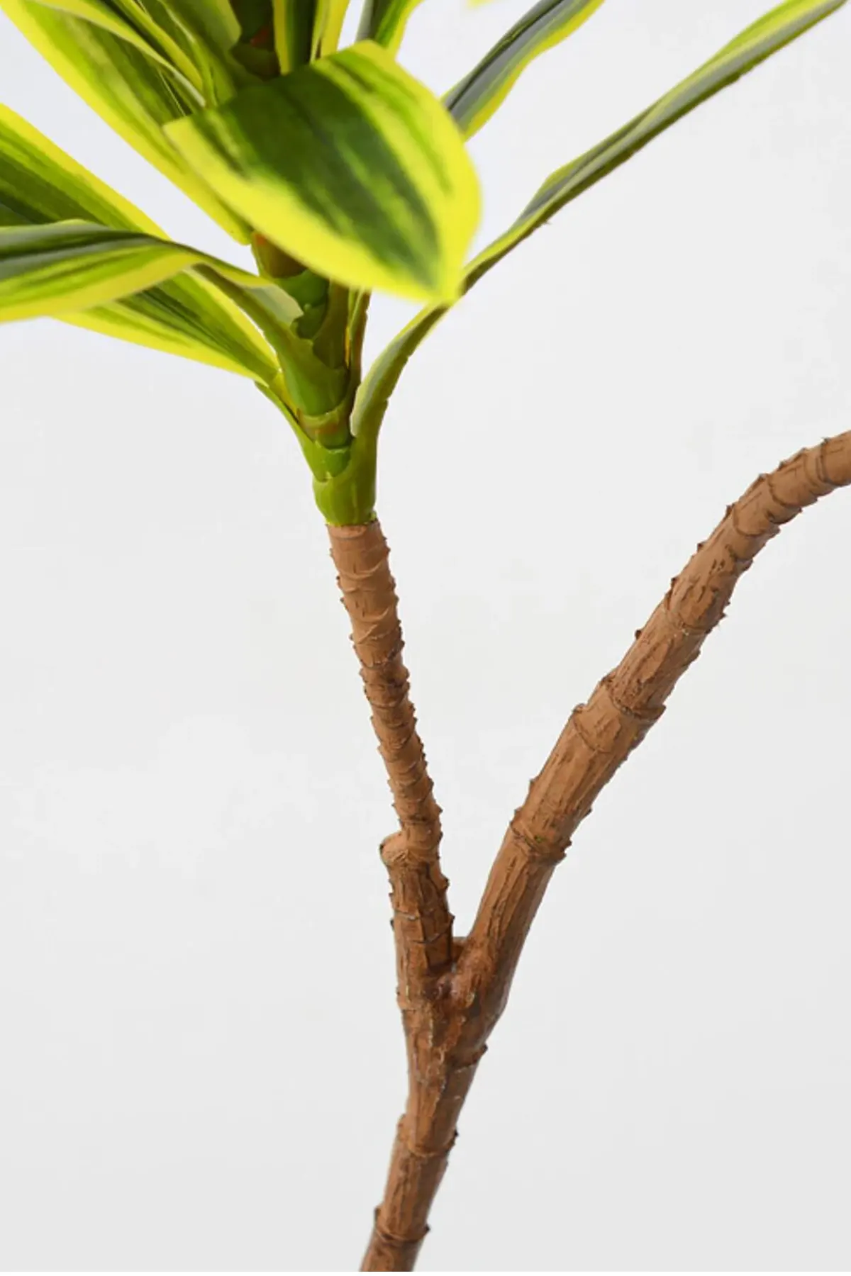 Yapay Bitki 2li Dracaena Reflexa Dalı 95 cm Yeşil-Sarı - 2