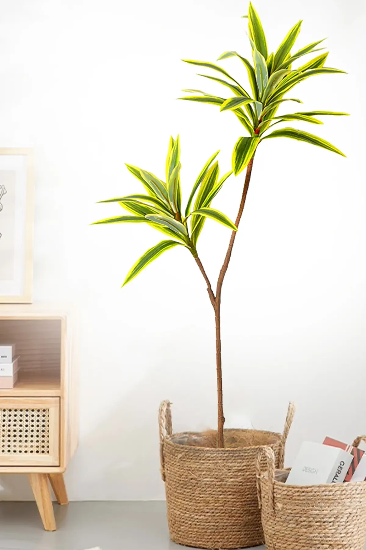 Yapay Bitki 2li Dracaena Reflexa Dalı 95 cm Yeşil-Sarı - 3