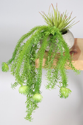 Yapay Çiçek Deposu - Mini Kabak Saksıda Succulentli Sarkan 50 cm Püskül Model
