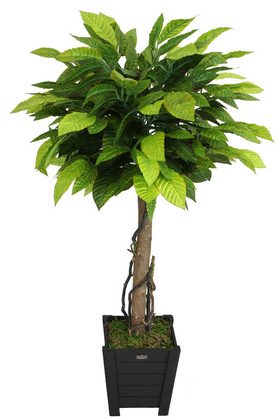 Yapay Çiçek Deposu - Yapay Bodur Ceviz Ağacı 140 cm Parlak Dokulu Yeşil