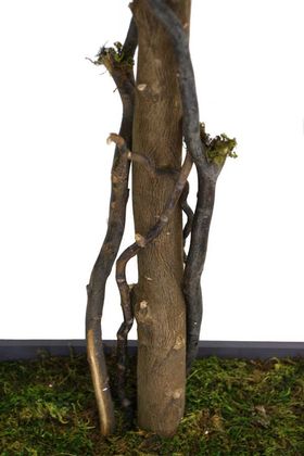 Yapay Bodur Ceviz Ağacı Hazan 150cm - Thumbnail