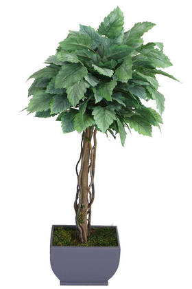 Yapay Çiçek Deposu - Yapay Bodur Ceviz Ağacı Yeşil-Gri 150cm