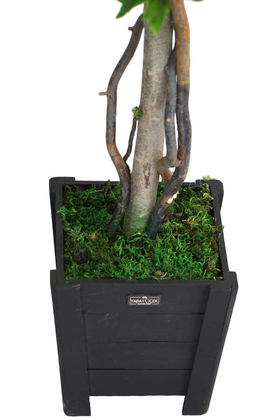 Yapay Bodur Çınar Ağacı 110 cm Parlak Yeşil - Thumbnail