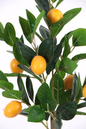 Yapay Bodur Limon Ağacı Siyah Saksıda 60 cm - 3