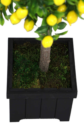 Yapay Bodur Limon Ağacı Mdf Ahşap Siyah Saksıda 100 cm - Thumbnail