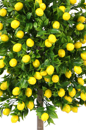Yapay Bodur Limon Ağacı Melamin Saksıda 100 cm - Thumbnail