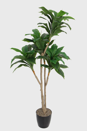 Yapay Ağaç Lüx 4 Gövdeli Cordyline 180 cm Yeşil - Yapay Çiçek Deposu
