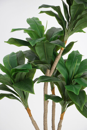Yapay Ağaç Lüx 4 Gövdeli Cordyline 180 cm Yeşil - 2
