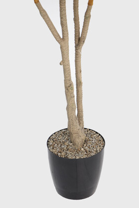 Yapay Ağaç Lüx 4 Gövdeli Cordyline 180 cm Yeşil - 3