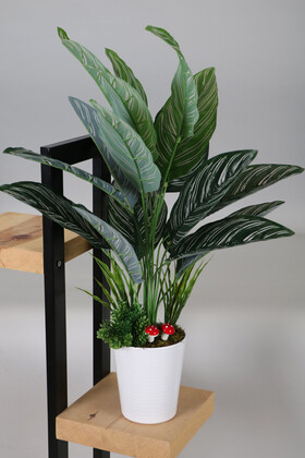 Yapay Çiçek Deposu - Dekoratif Beyaz Mika Saksıda Calathea Majestica Bitki Tanzimi 70 cm