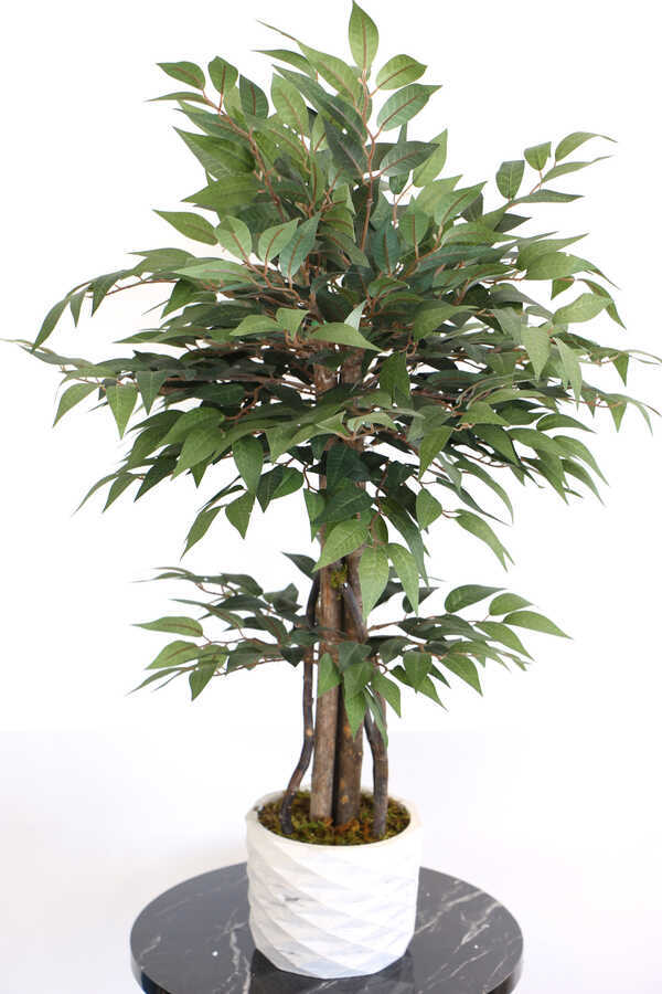 Yapay Bonsai Ağacı Ficus Ginseng 75 Cm