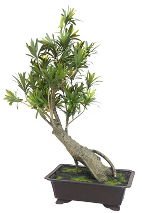 Yapay Çiçek Deposu - Yapay Bonsai Ağacı Tropical 70 cm