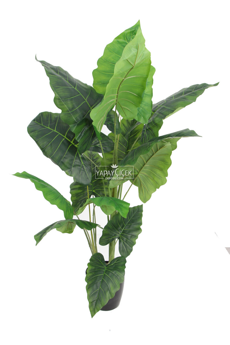 Yapay Ağaç  4 Gövdeli Alocasia Fil Kulağı Ağacı 170(16 Yapraklı)