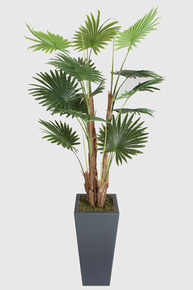 Yapay Çiçek Deposu - Yapay Tropikal Palmiye Ağacı 200 cm