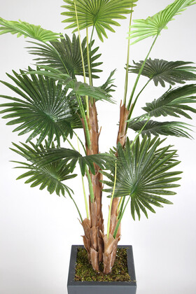 Yapay Tropikal Palmiye Ağacı 200 cm - Thumbnail