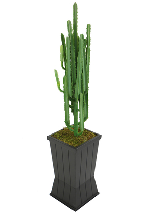 Ahşap Saksıda Yapay Cereus Kaktüs Ağacı 140 cm - 1