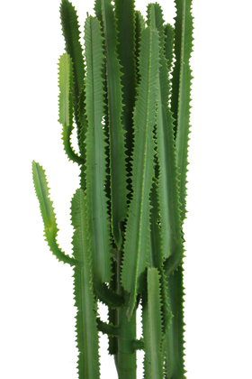 Ahşap Saksıda Yapay Cereus Kaktüs Ağacı 140 cm - 4