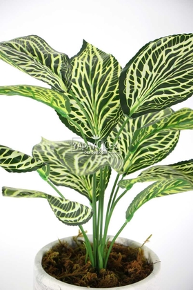 Beton Saksıda Uzun Yapraklı Yapay Bitki 42 cm Model-6 - Thumbnail