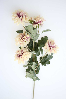 Yapay Çiçek Deposu - Yapay Çiçek 6lı Uzun Kasımpatı Dalı 85 cm Krem-Mor