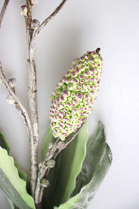 Exclusive Tropik Meyveli İri Yapraklı Egzotik 3 Lü Uzun Dal 85 cm AçıkYeşil - Thumbnail