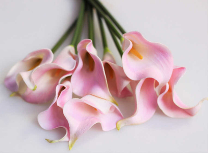 Yapay Çiçek Islak Gerçek Gala Çiçeği 9 Dal Açık Pembe - Thumbnail