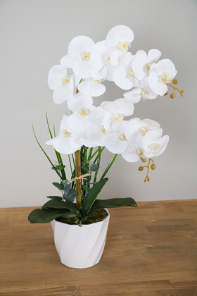 Yapay Çiçek Deposu - Yapay Çiçek Melamin Saksıda 2li Orkide Tanzim Beyaz 75 cm