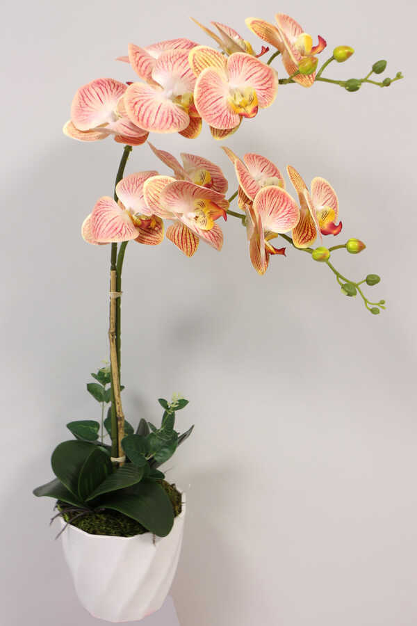 Yapay Çiçek Melamin Saksıda 2li Orkide Tanzim Kavuniçi 75 cm