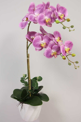 Yapay Çiçek Deposu - Yapay Çiçek Melamin Saksıda 2li Orkide Tanzim Mor Benekli 75 cm