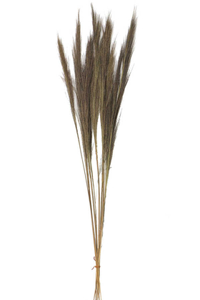 Yapay Çiçek Deposu - 10lu Tropic Broom Grass 80 cm