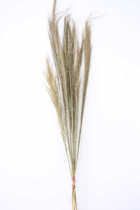 Yapay Çiçek Deposu - 10lu Tropic Broom Grass 60 cm