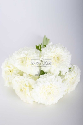 Yapay Lüx 6lı Gerbera Demeti 30 cm Beyaz - 2