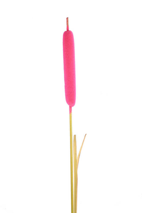 Yapay Çiçek Deposu - Kuru Dal Dekoratif Kamış 100 cm Pembe(Kadife Kaplama)