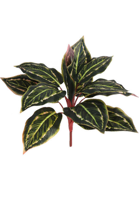 Yapay Çiçek Deposu - Yapay Fittonia Kraton Bitkisi 40 cm Yeşil-Kızıl