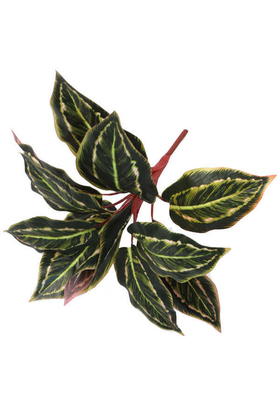 Yapay Fittonia Kraton Bitkisi 40 cm Yeşil-Kızıl - Thumbnail