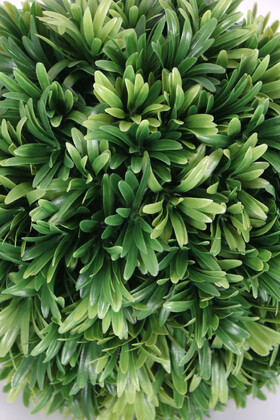 Defne Yapraklı Şimşir Top 33 cm Açık Yeşil - Thumbnail