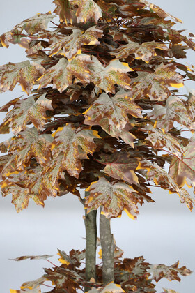 Yapay Ağaç Sonbahar Çınar Ağacı 170 cm Ceviz - Thumbnail