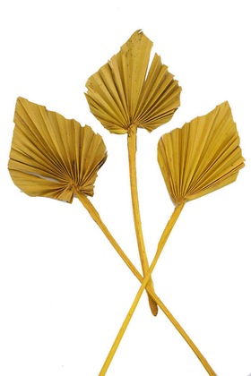 Yapay Çiçek Deposu - 3lü Kuru Tropic Palm Spear Hardal Sarı