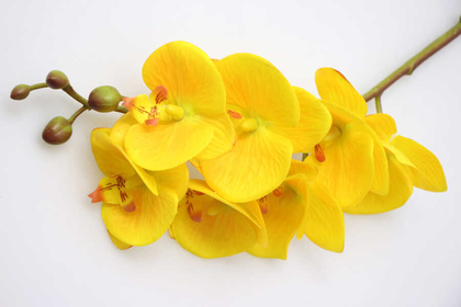 Yapay Dal Islak Exclusive Orkide Çiçeği 68 cm Sarı - Thumbnail