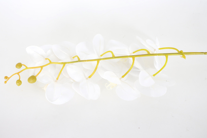 Yapay Dal Baskılı Orkide Çiçeği 88 cm Beyaz ortası sarı - Thumbnail
