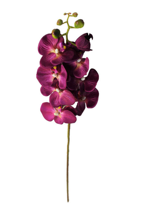 Yapay Dal Orkide Çiçeği 75 cm Mürdüm - Thumbnail