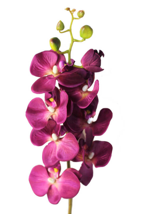 Yapay Dal Orkide Çiçeği 75 cm Mürdüm - Thumbnail