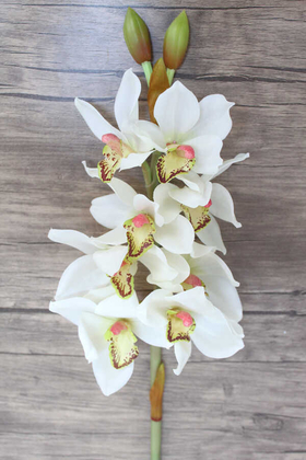 Yapay Çiçek Deposu - Yapay DeLüx Islak Singapur Orkidesi 60 cm Beyaz